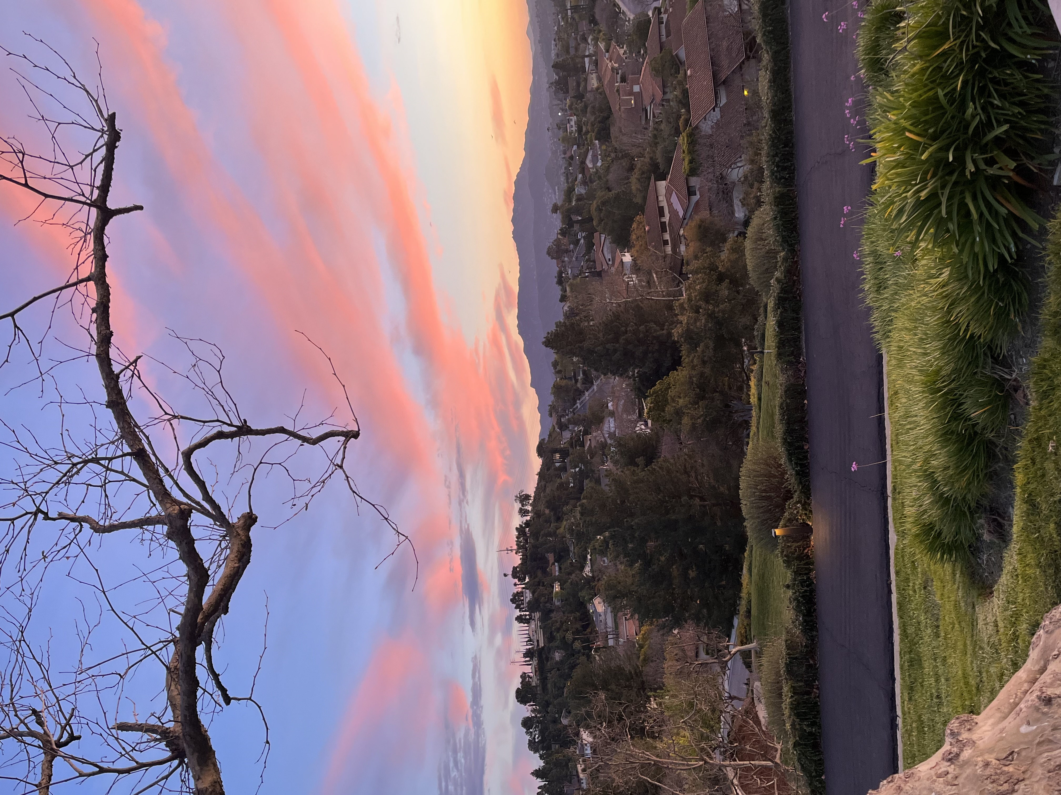 Pink sunset over the neighborhood and distant mountains